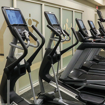 Fitness equipment thunder online bay